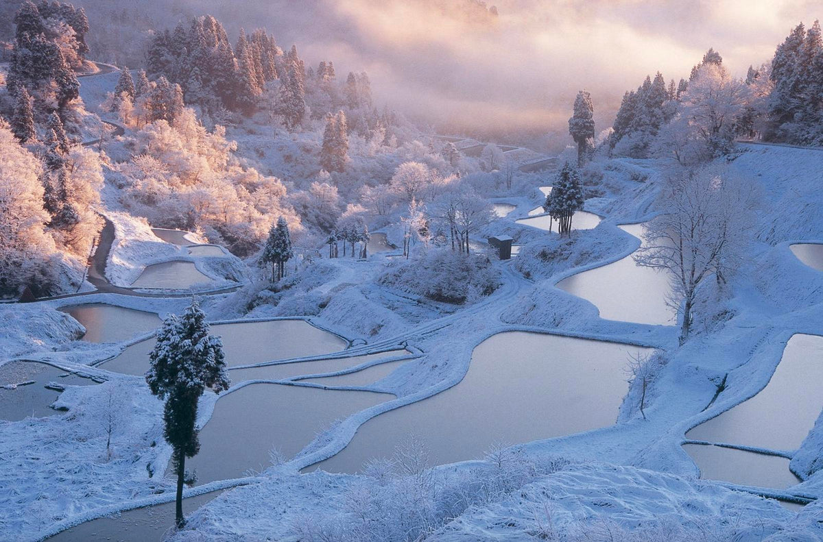 first snow in rice terrace