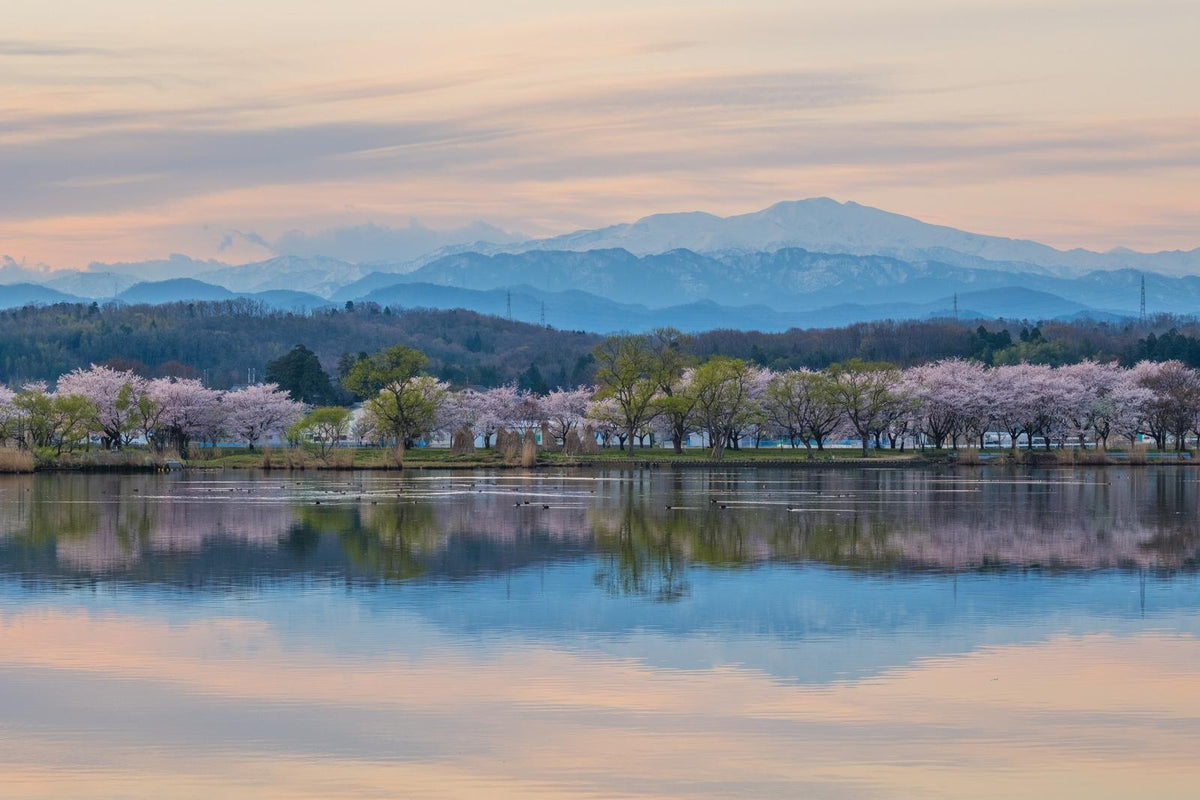 a lake with trees and mountains in the background