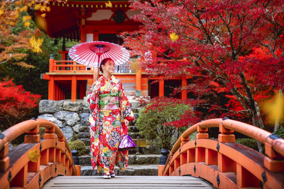 Japanese girl in kimono traditional dress walk in red bridge in Daigoji temple in autumn time, Kyoto, Japan