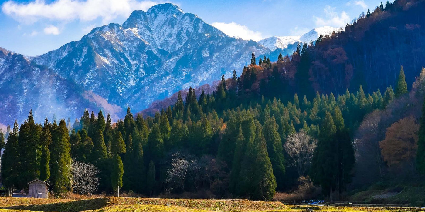 Niigata prefecture