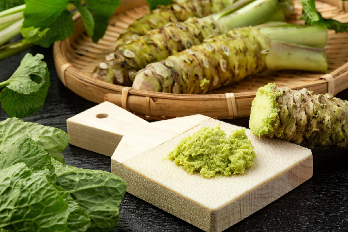 Japanese wasabi