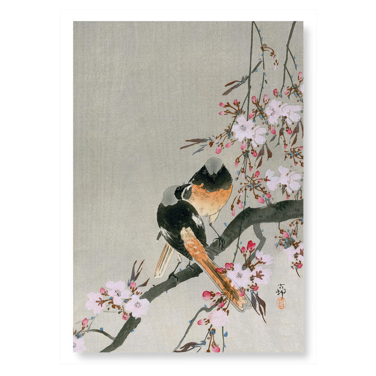 Redstarts and cherry a4 art print