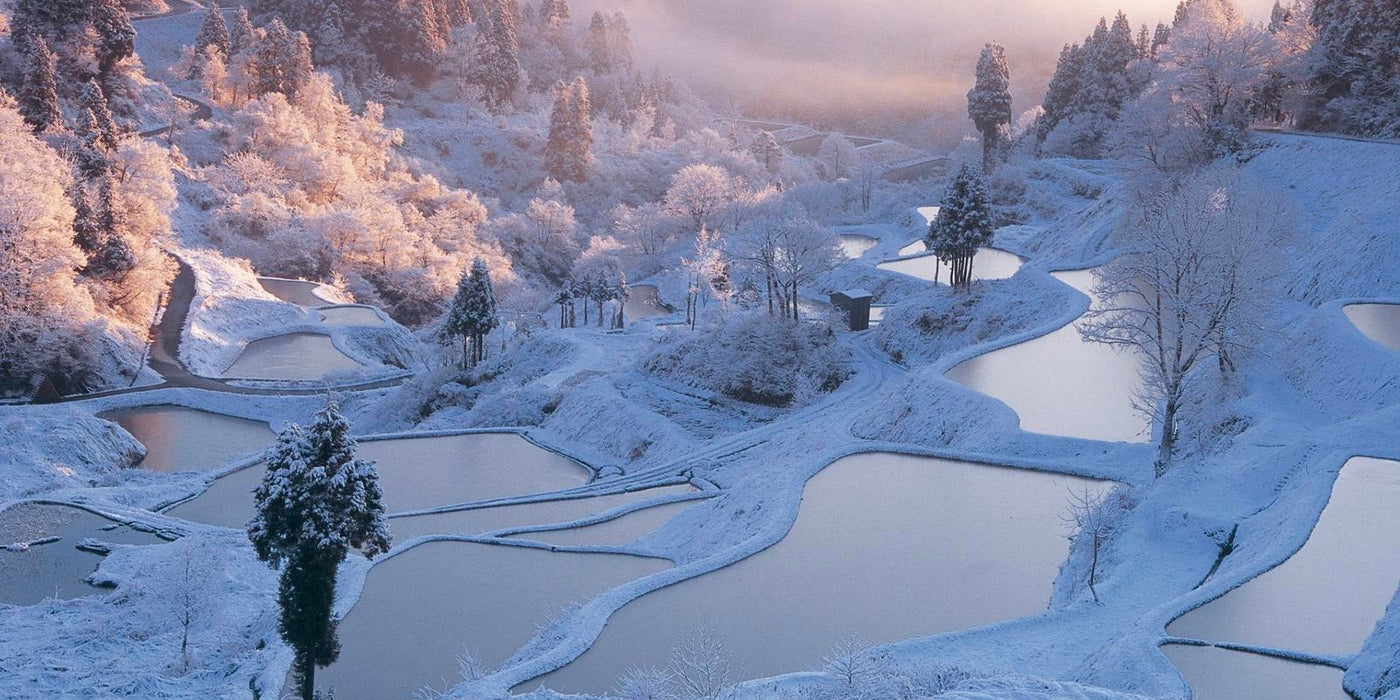first snow in rice terrace