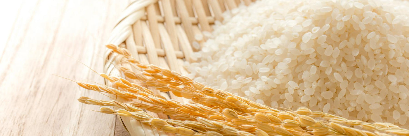 Japanese rice