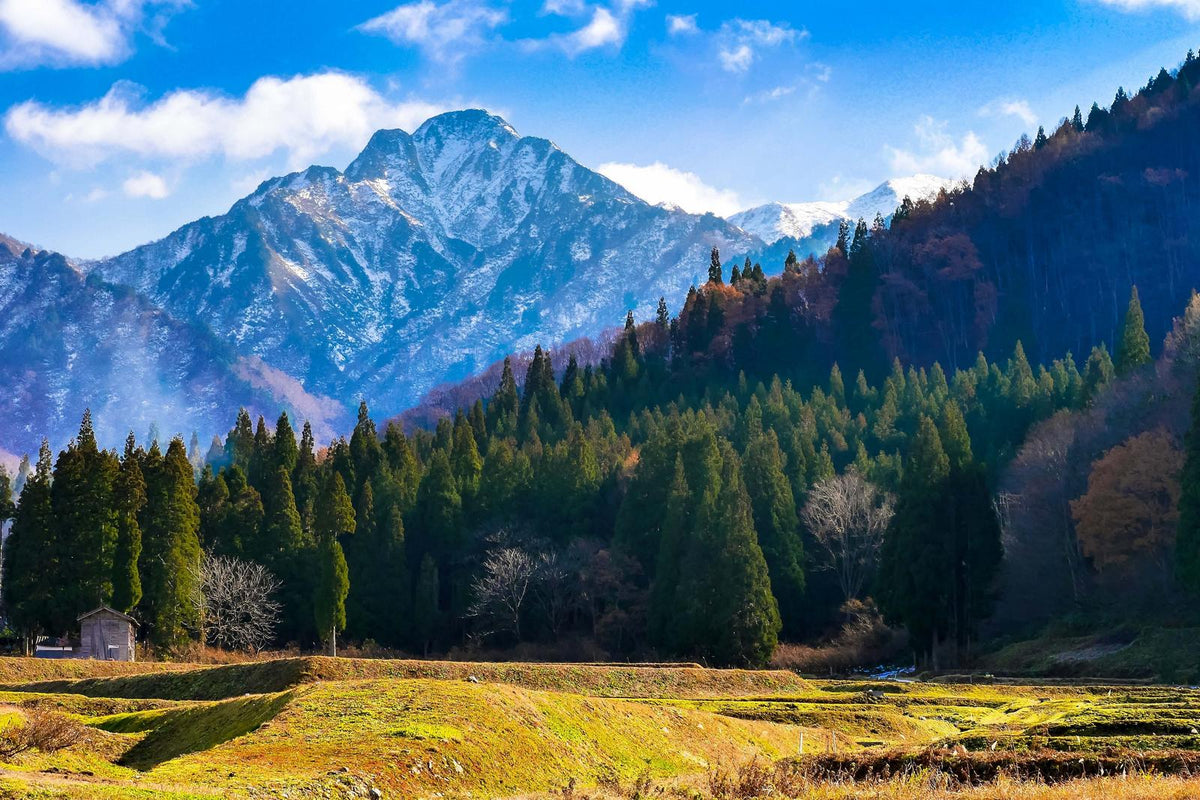 Niigata prefecture