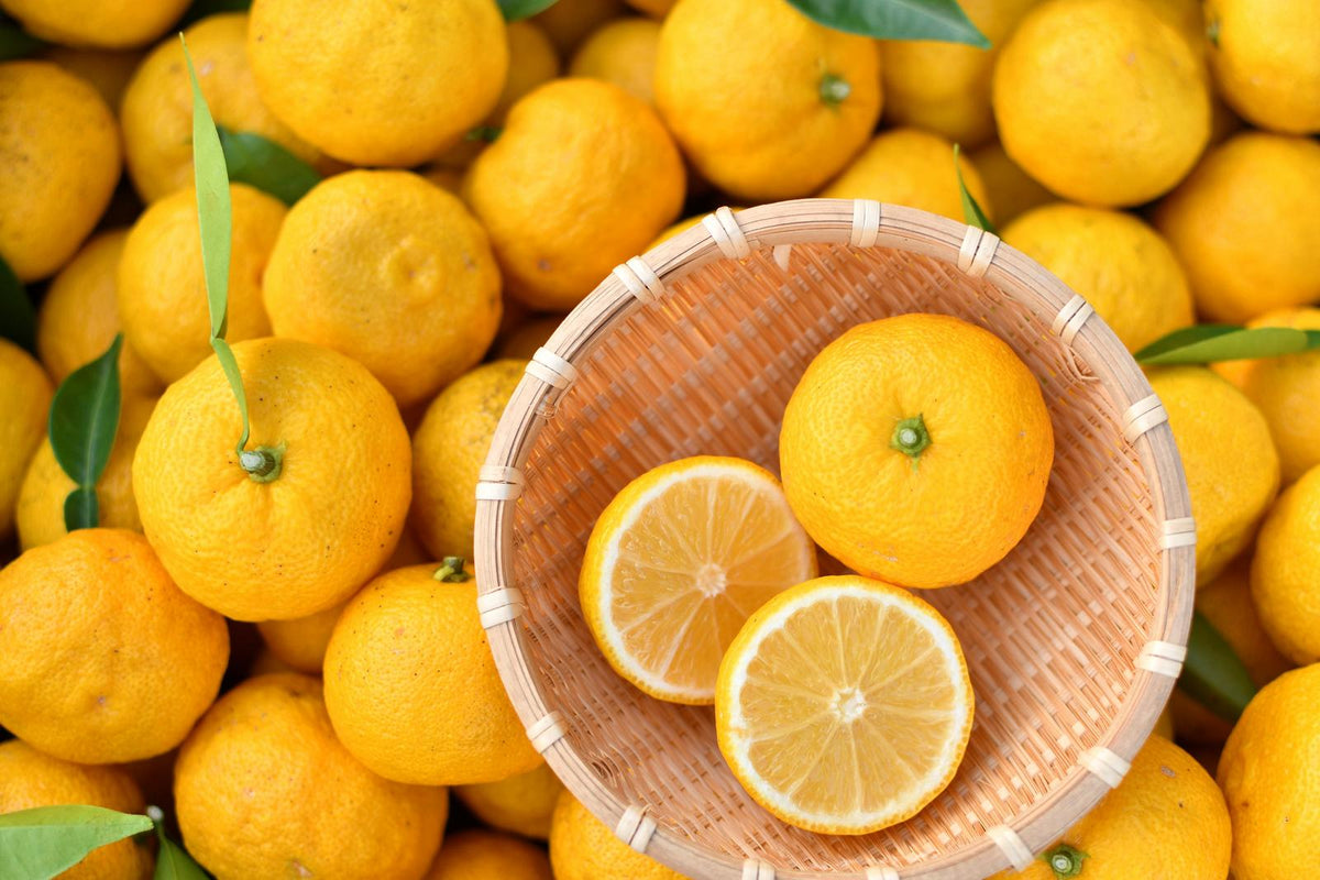 Yuzu citrus
