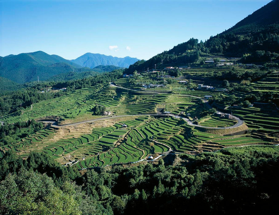 Top 10 reasons to visit Mie Prefecture in Japan
