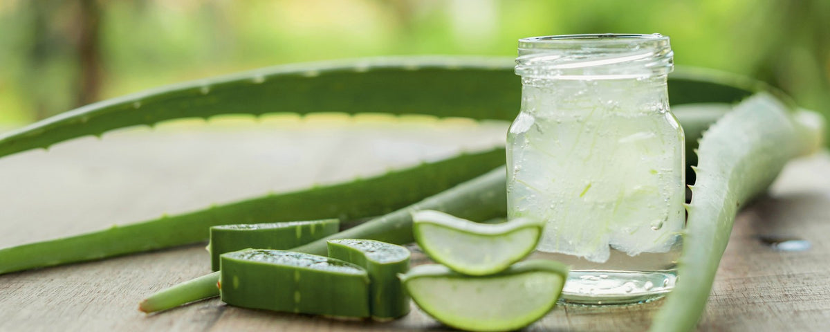 Jelly and aloe drinks