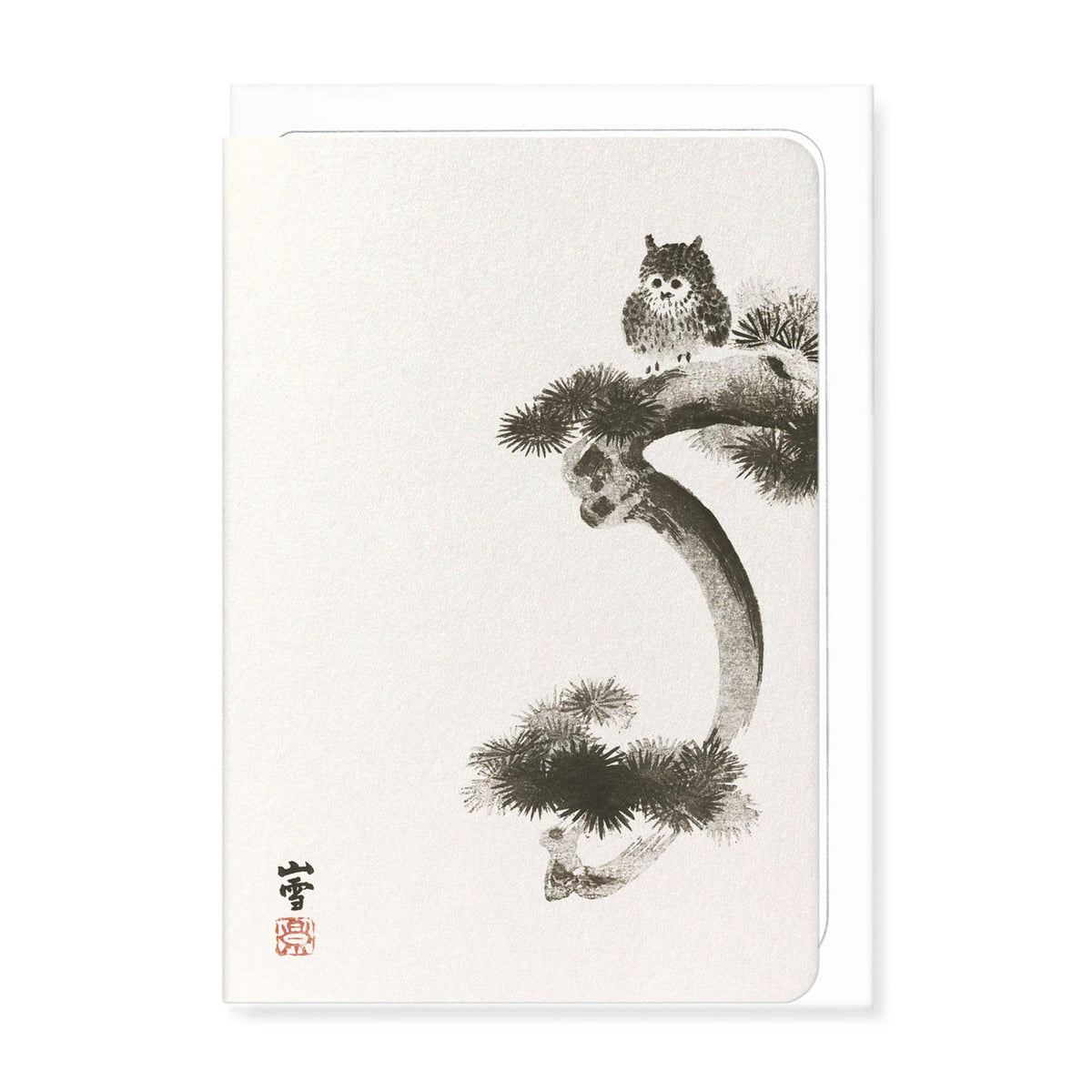 Owl on pine tree greeting card
