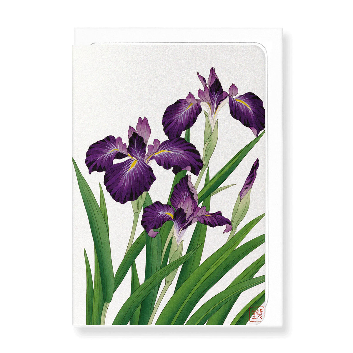 Purple iris greeting card