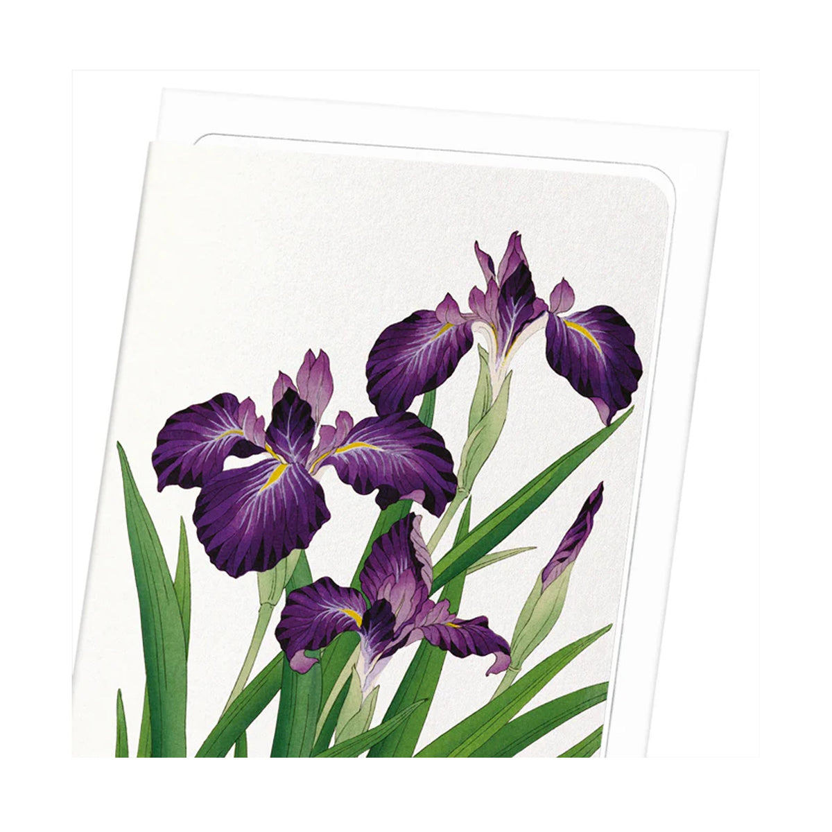 Purple Iris Greeting Card - 2