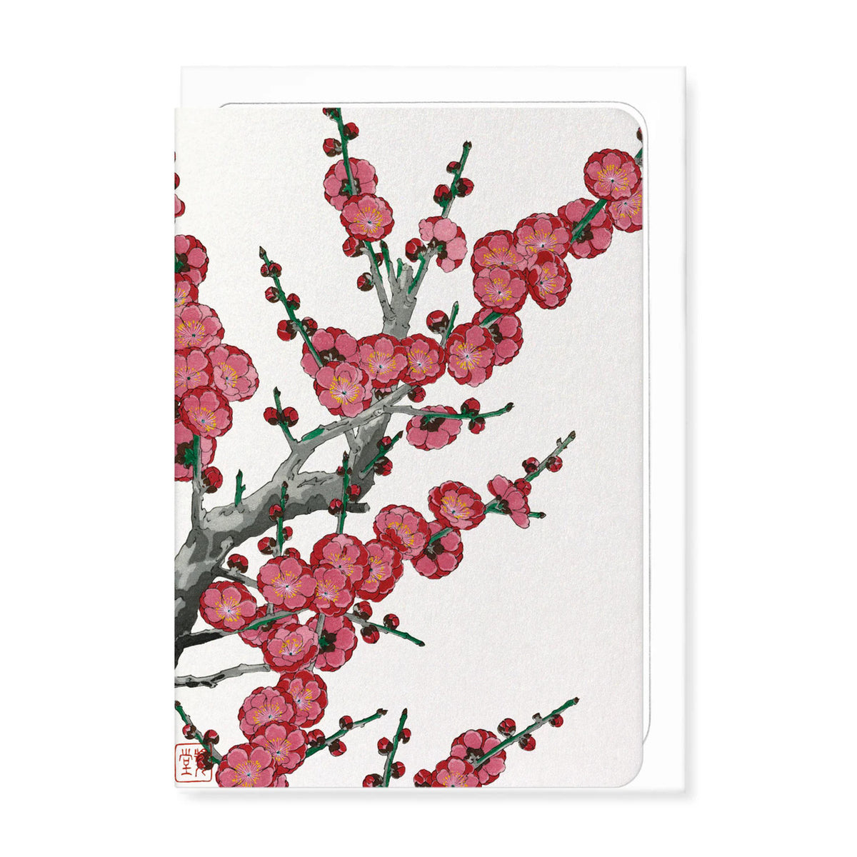 Red plum blossom greeting card