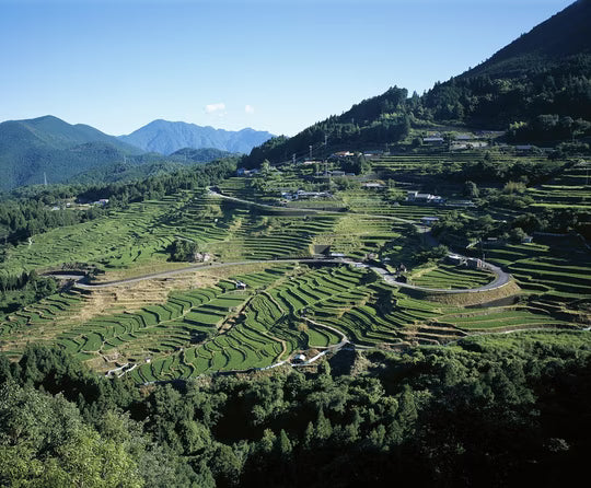 Top 10 reasons to visit Mie Prefecture in Japan