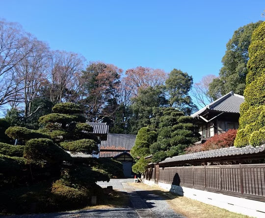 The wonder of Sudo Honke sake